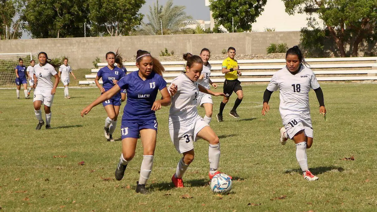 ligafutbolfemenil