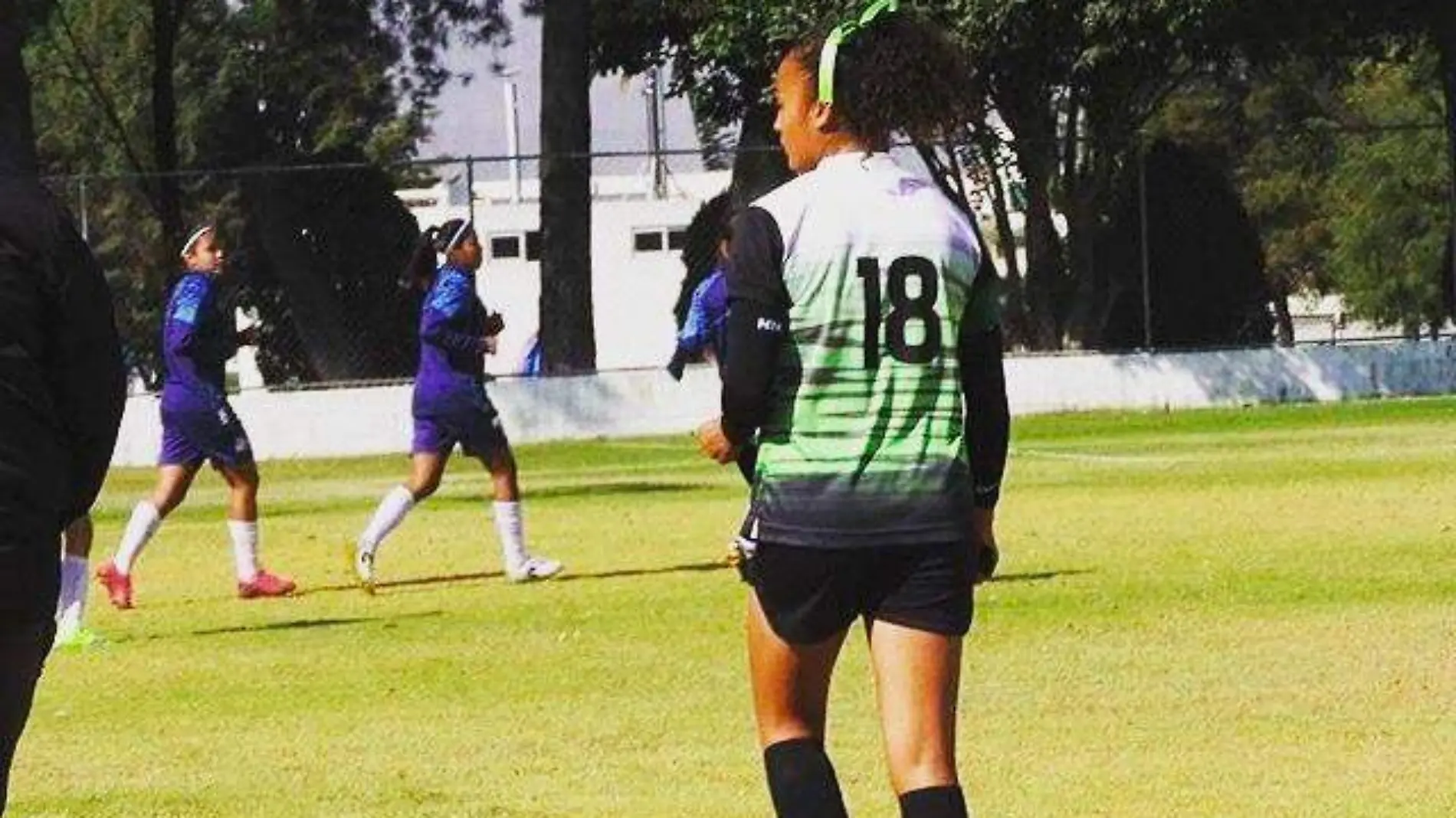 ligamexicanafut