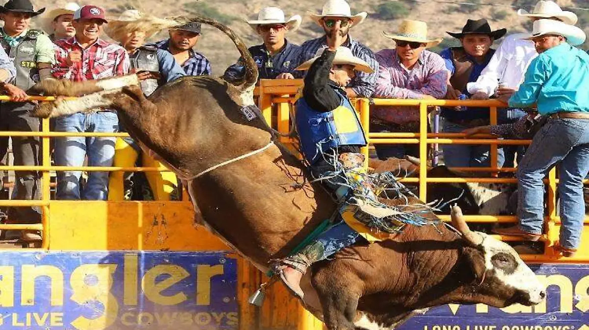 rodeo