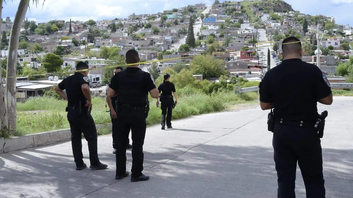 WhatsApp Image 2022-09-18 at 15.49.32 (1)