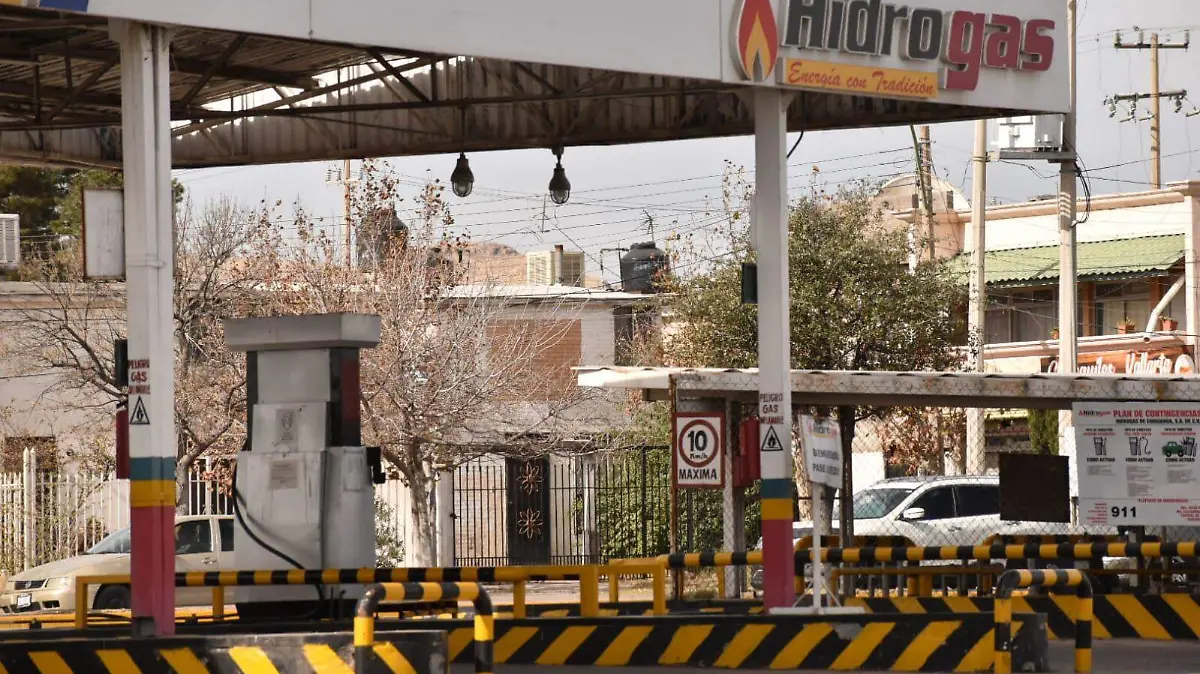 WhatsApp Image 2023-01-15 at 12.17.35