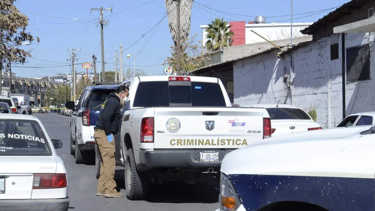 WhatsApp Image 2022-11-26 at 15.28.45 (1)