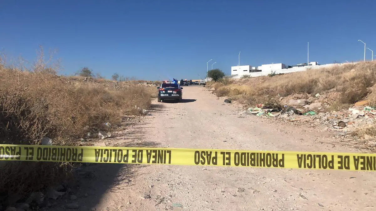 WhatsApp Image 2020-11-25 at 9.54.30 AM