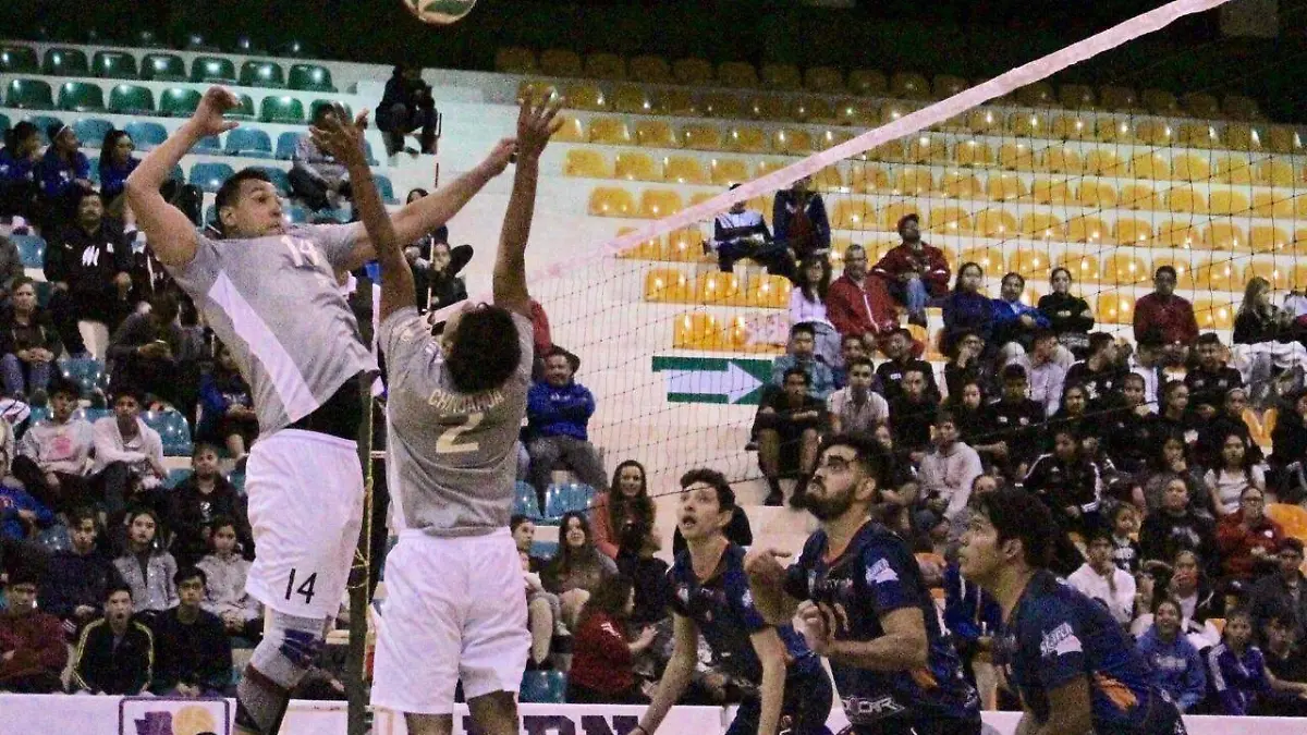 Image 2019-12-08 at 11.54.38 AM (2)