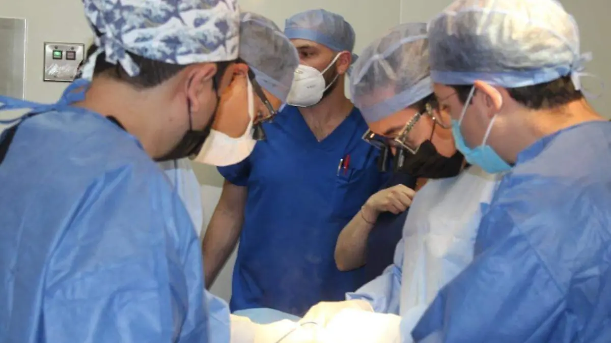 IMSS cuarta procuración