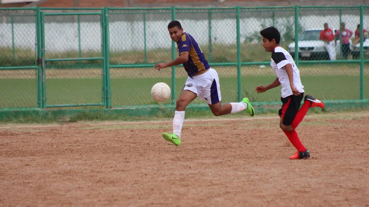 polo fut churu