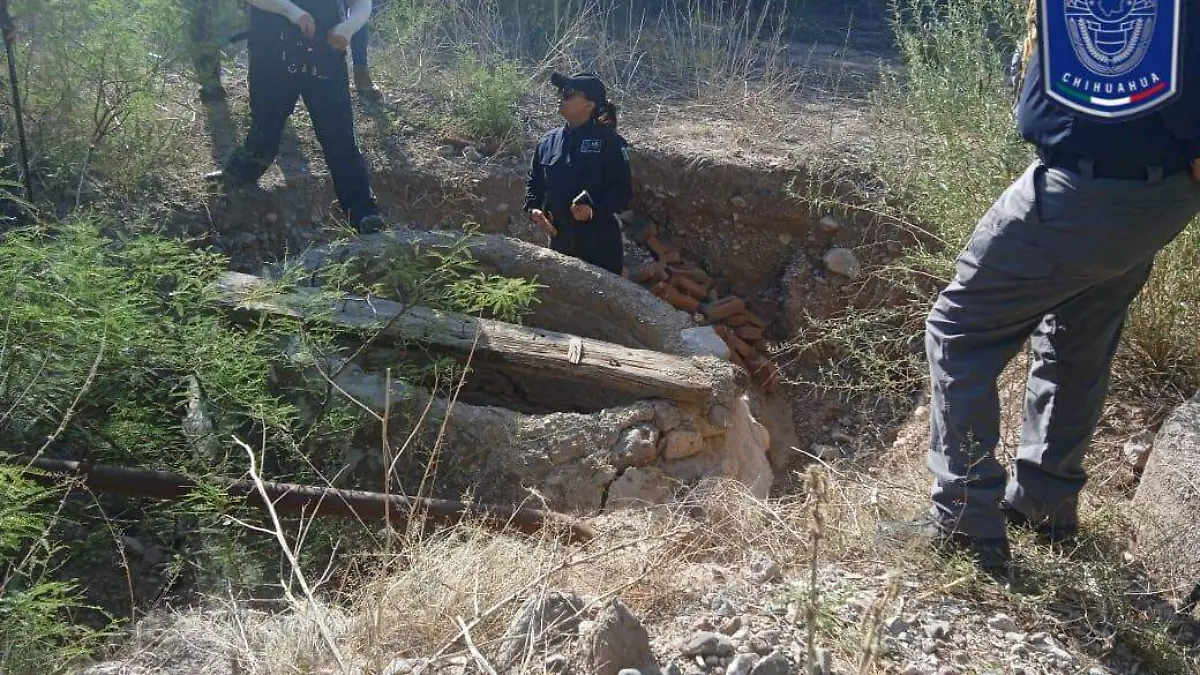 WhatsApp Image 2023-07-27 at 17.24.20 (1)