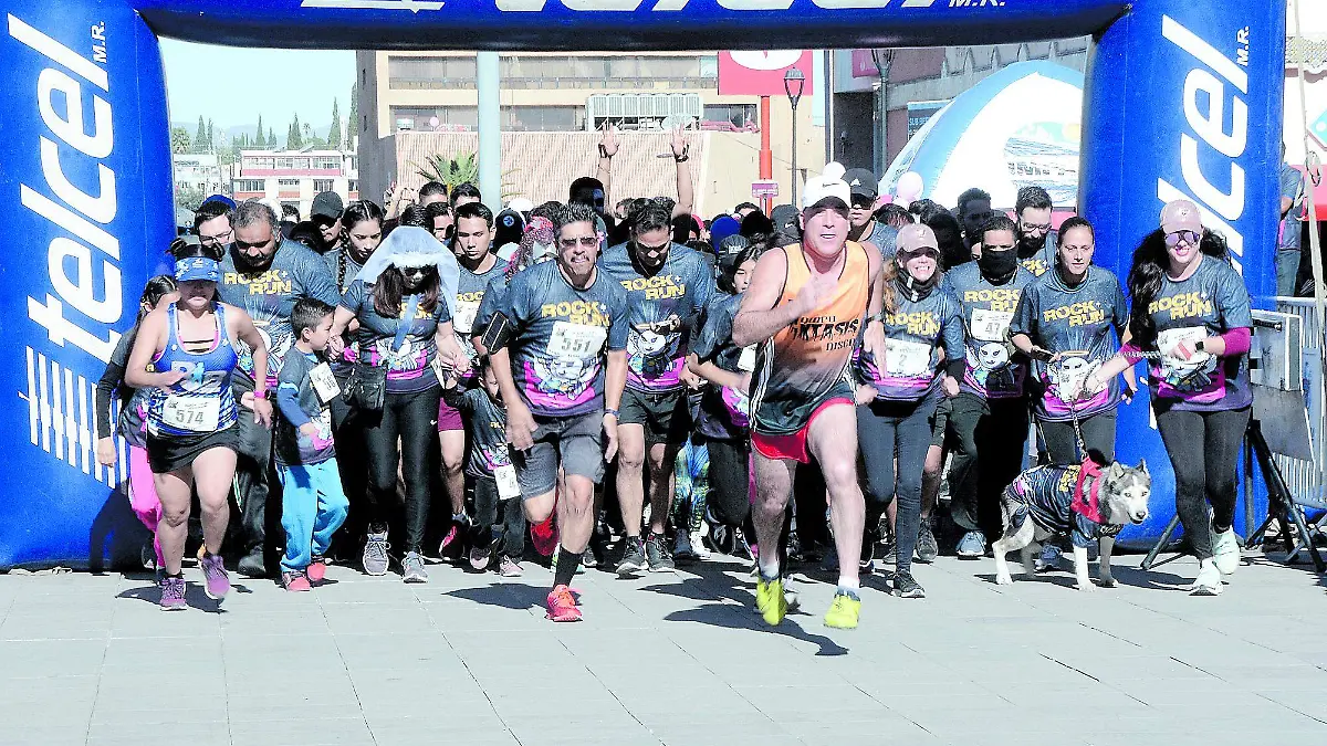 BREVE 3-CARRERA-4 COLAS