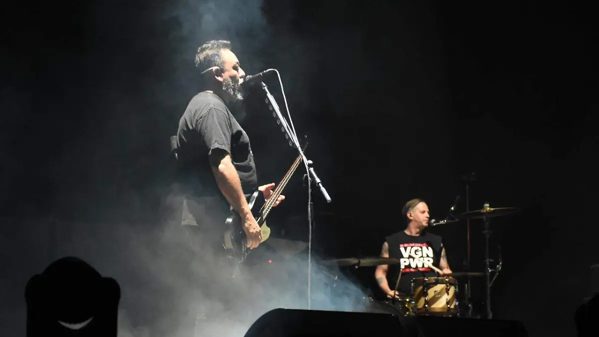 molotov portada