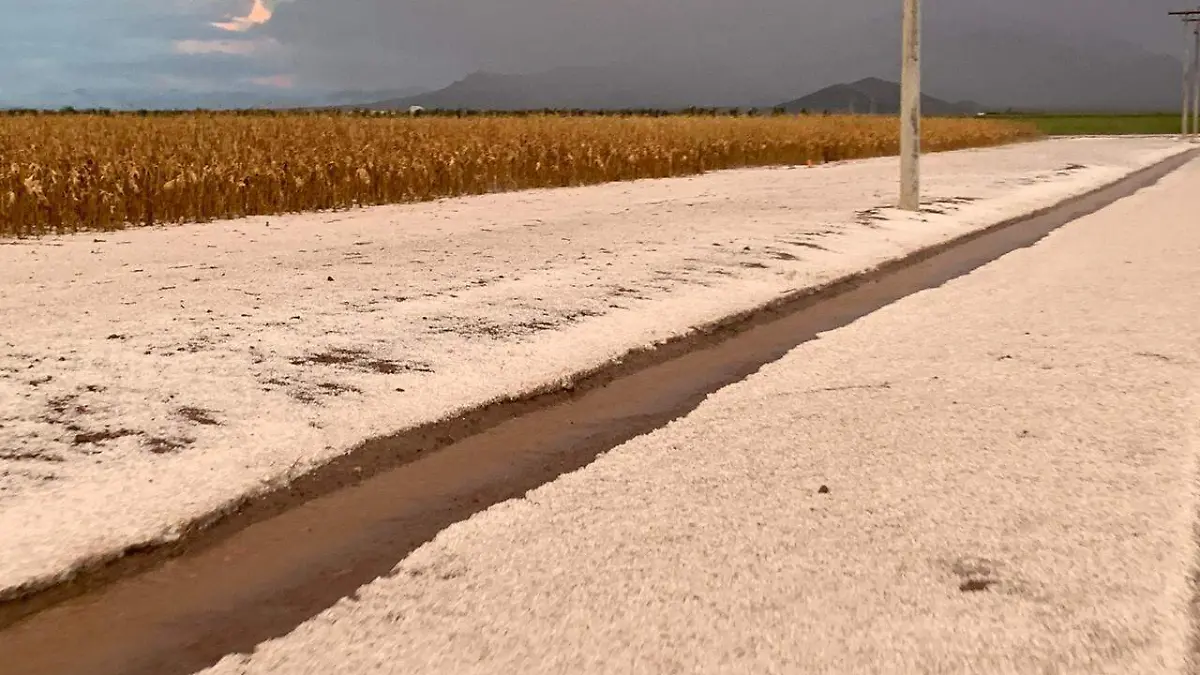 granizo (5)