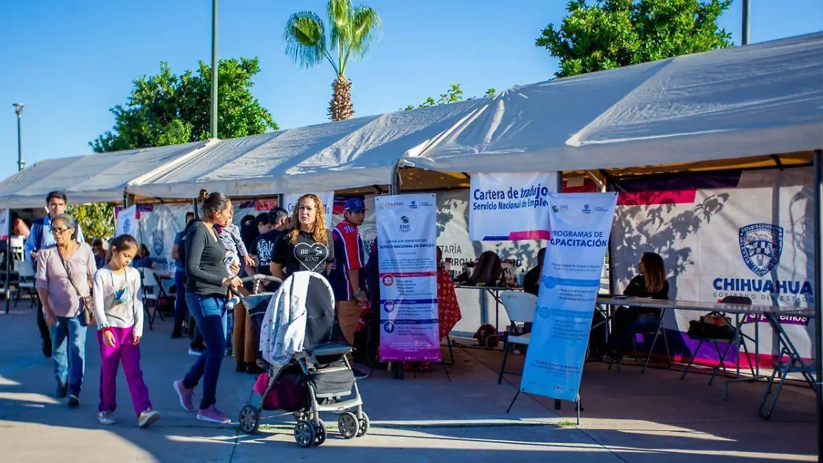 SERVICIOS EN DELICIAS