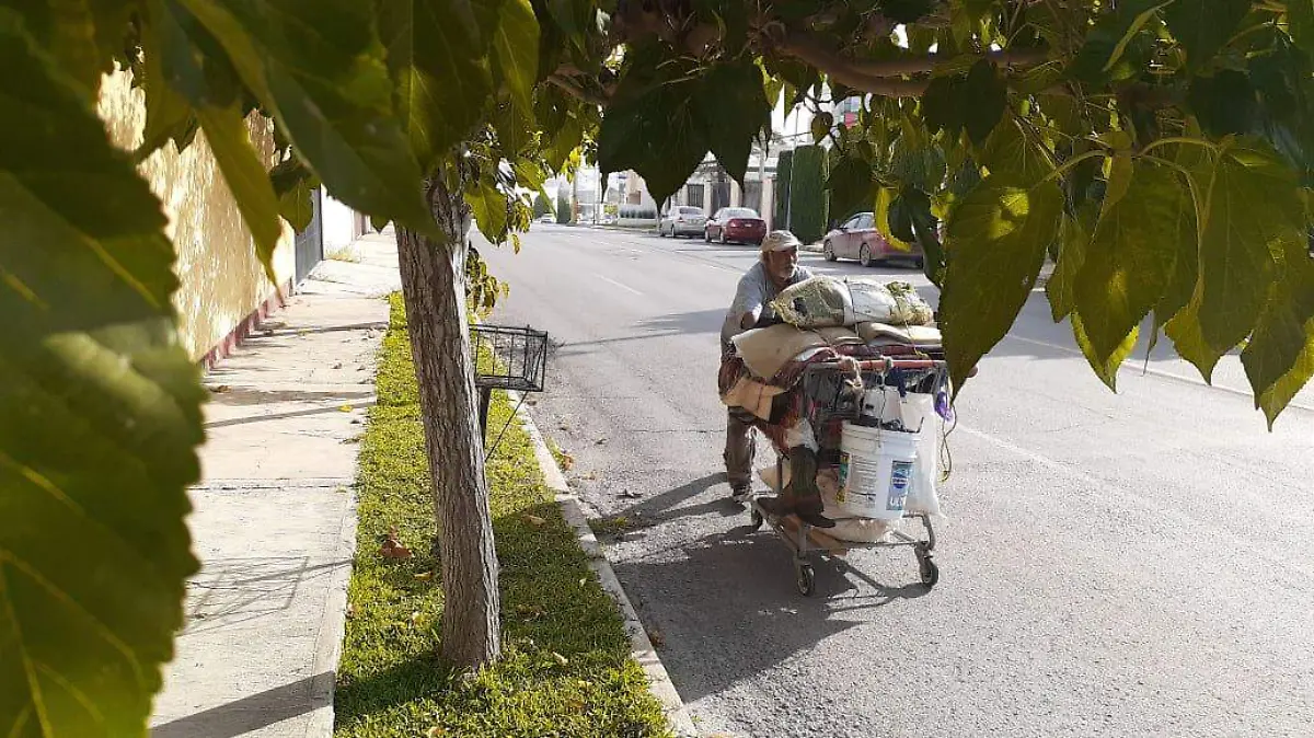 1-FOTOS DE EFREN RODRIGUEX