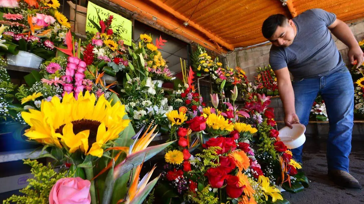 flores 1