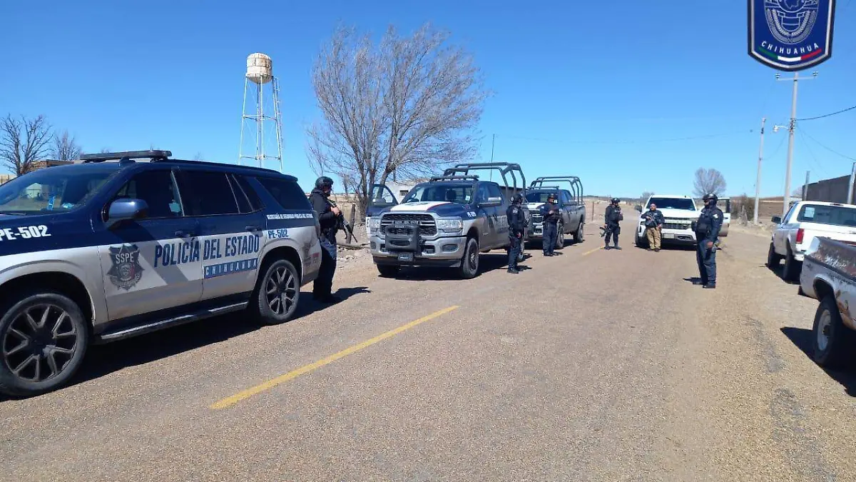 WhatsApp Image 2023-02-25 at 11.31.13 AM (1)