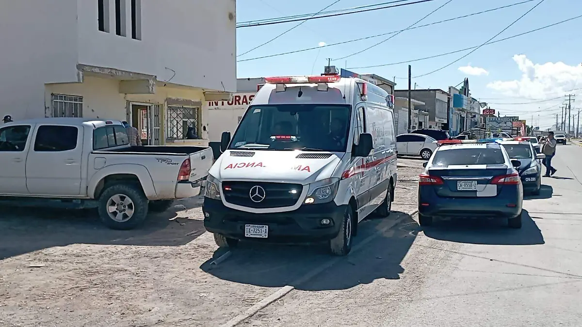 bjv