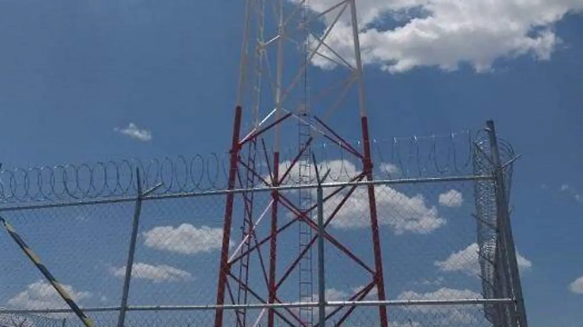 WhatsApp Image 2020-08-13 at 12.13.29 PM