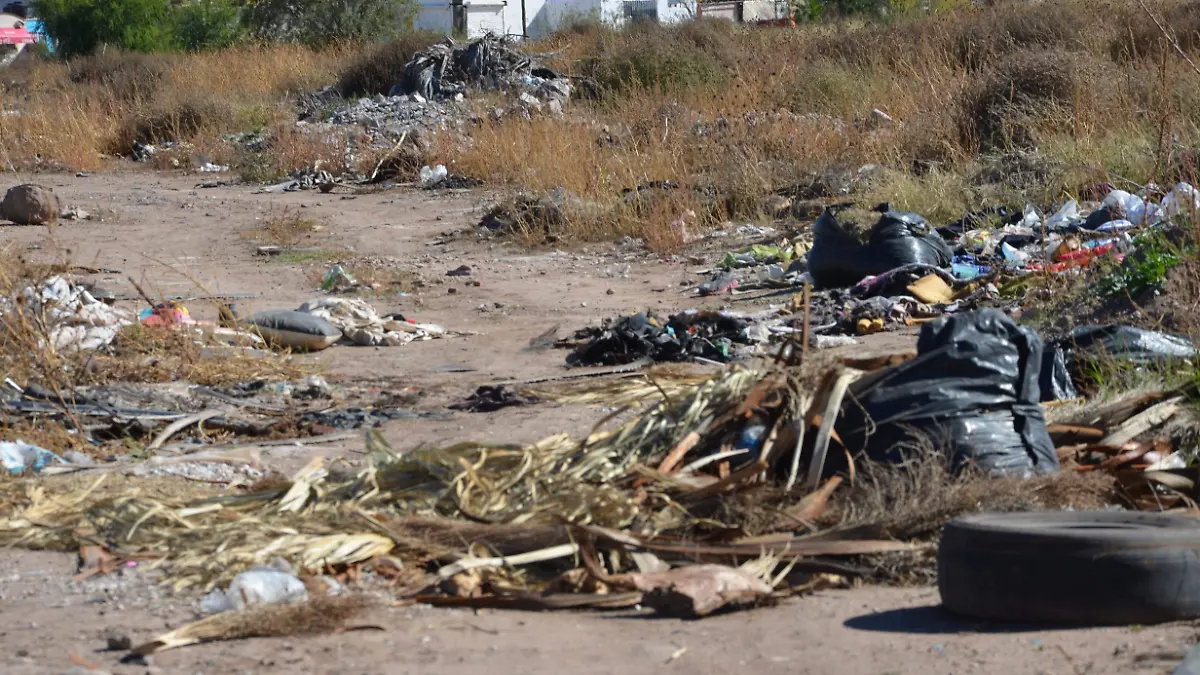 basurero en col jardines de oriente (9)