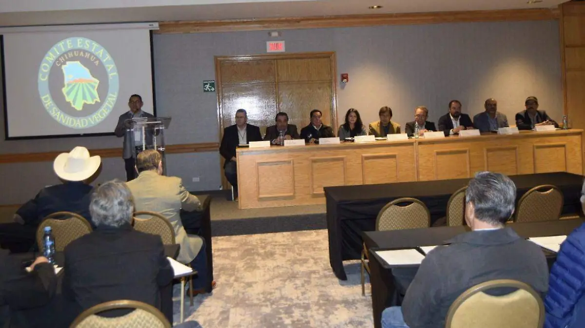 productores de algodon