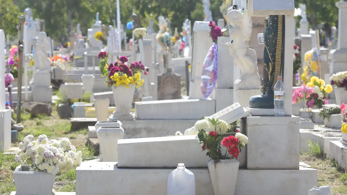 panteones limpios de basura  (2)