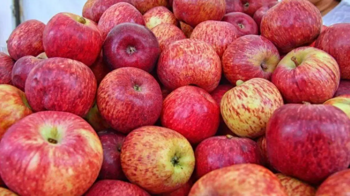 manzanas Archivo El Heraldo de Chihuahua