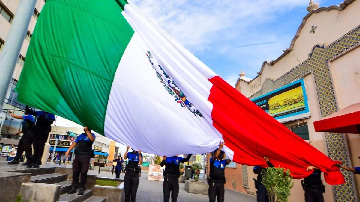 WhatsApp Image 2020-10-12 at 11.20.26 AM