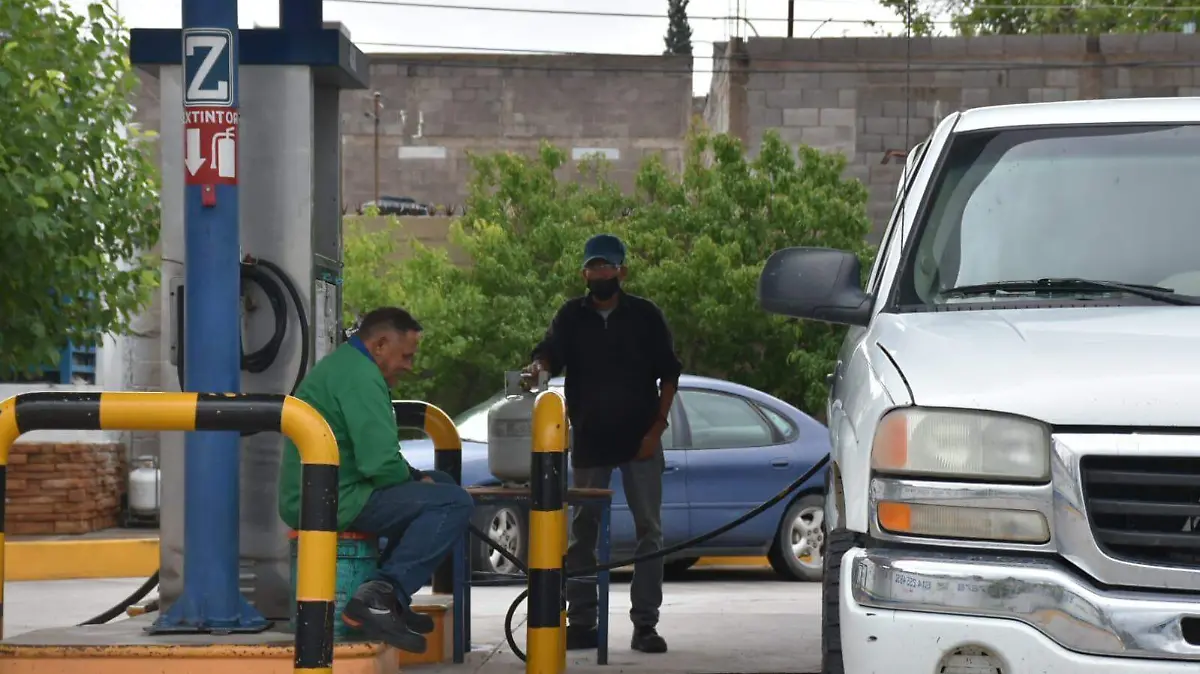 WhatsApp Image 2022-09-04 at 11.50.29