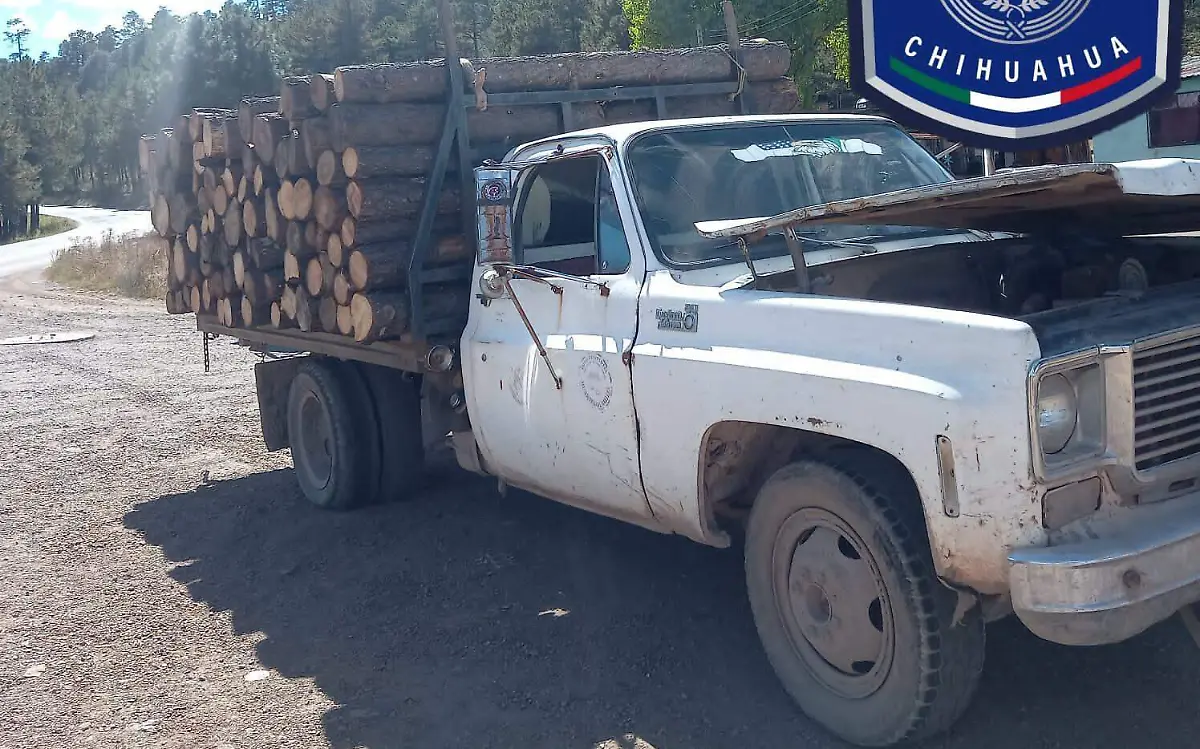 WhatsApp Image 2022-10-18 at 3.02.41 PM