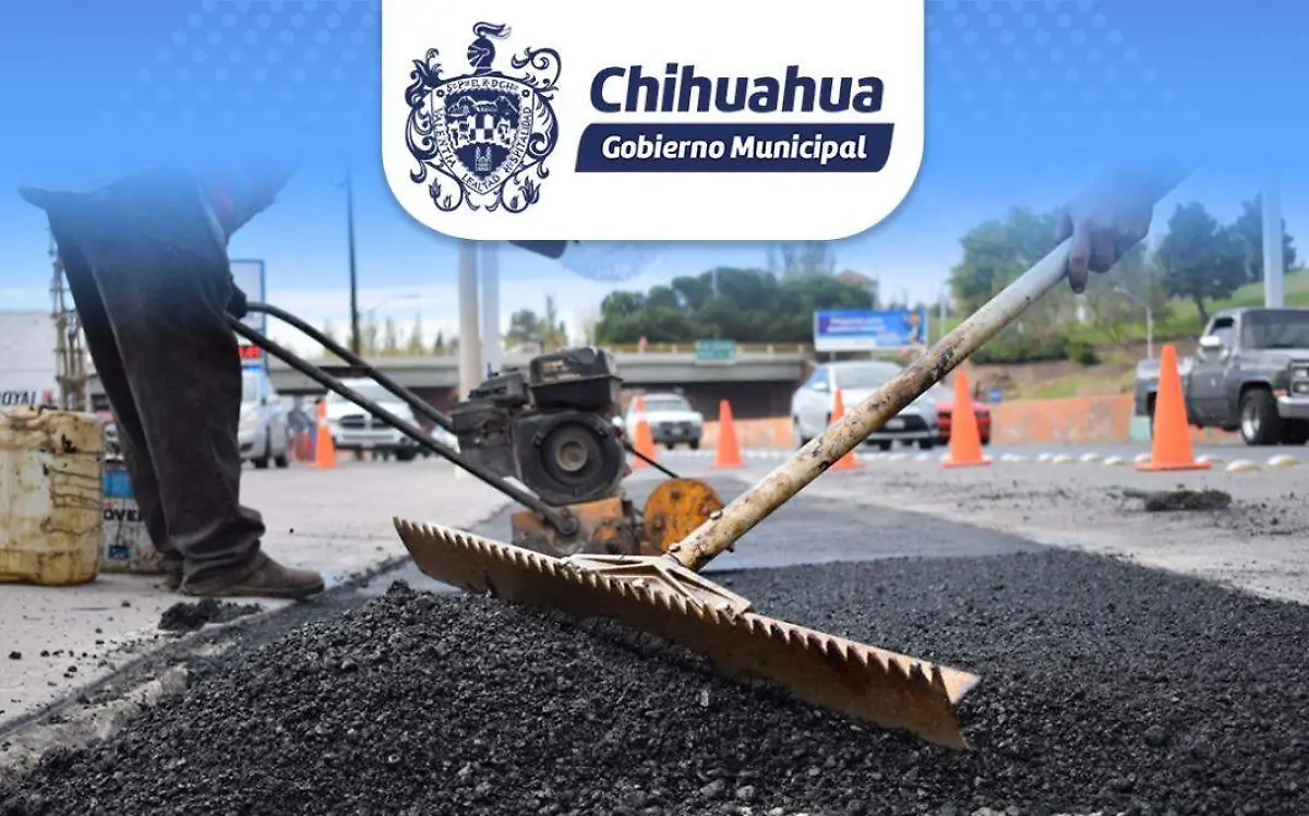 WhatsApp Image 2022-02-04 at 11.57.00 AM