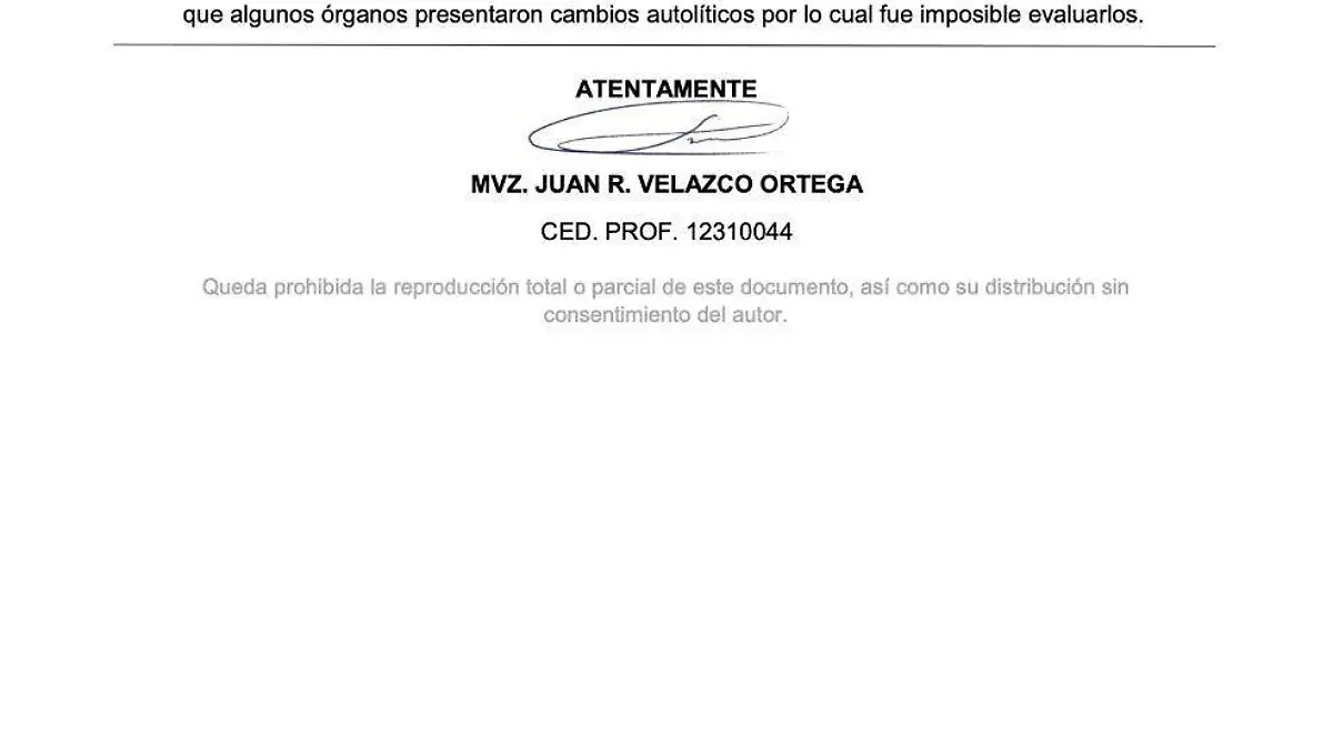 documento gansos muertos