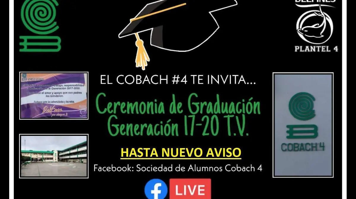 bachi 4