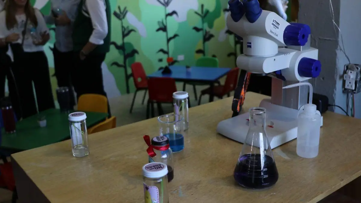 laboratorio plantas