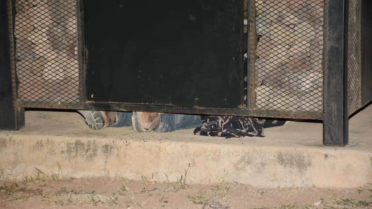 WhatsApp Image 2021-02-08 at 8.26.22 PM