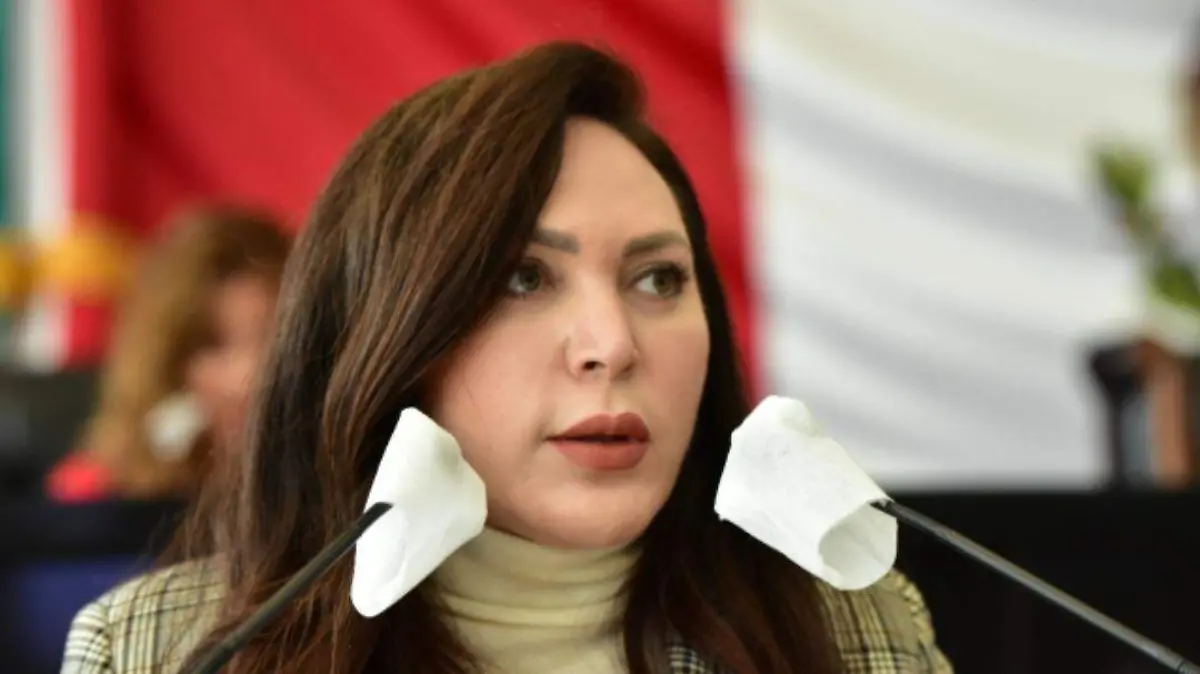 Diputada Zapata