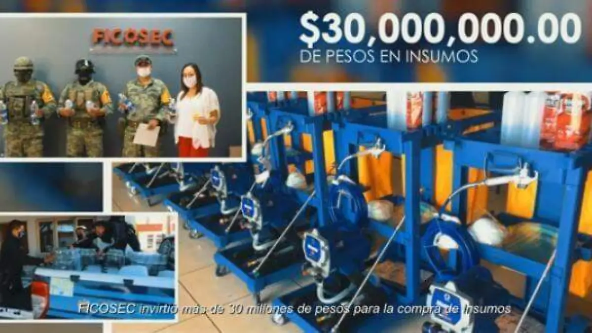 Ficosec 2