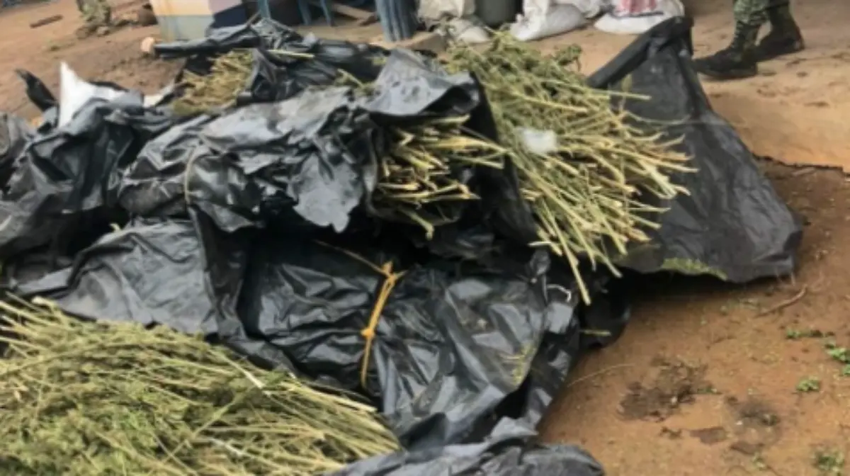 Captura de pantalla 2021-07-01 a la(s) 11.20.08