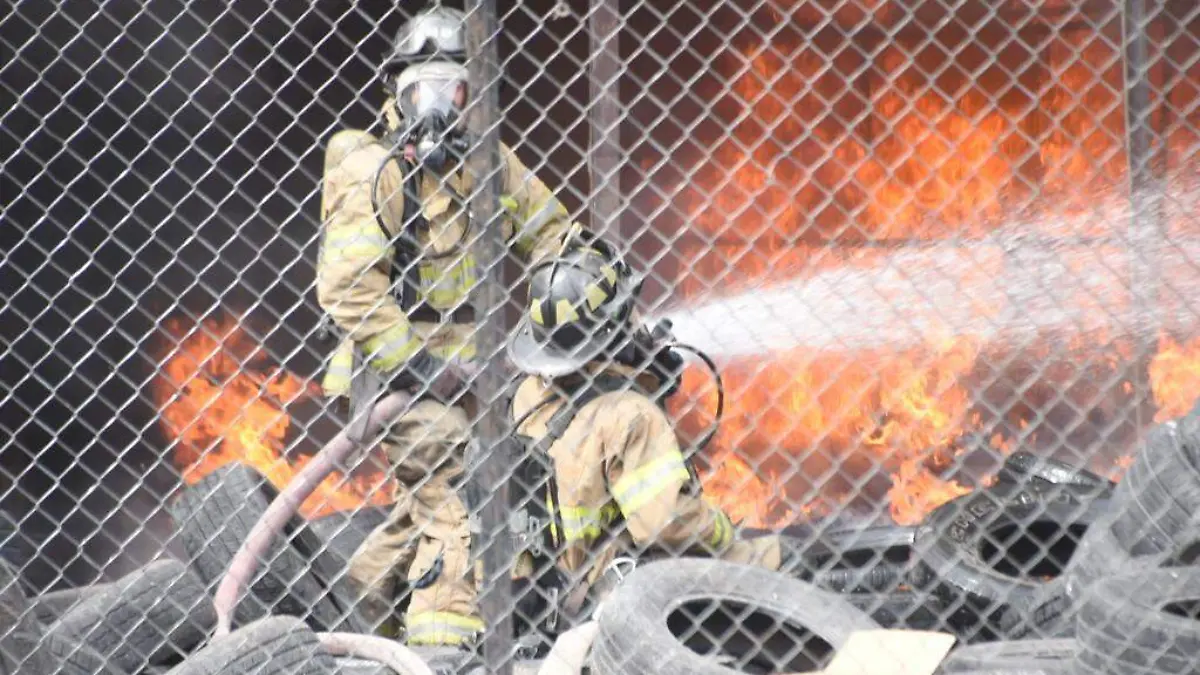 WhatsApp Image 2022-09-08 at 11.02.59 (2)