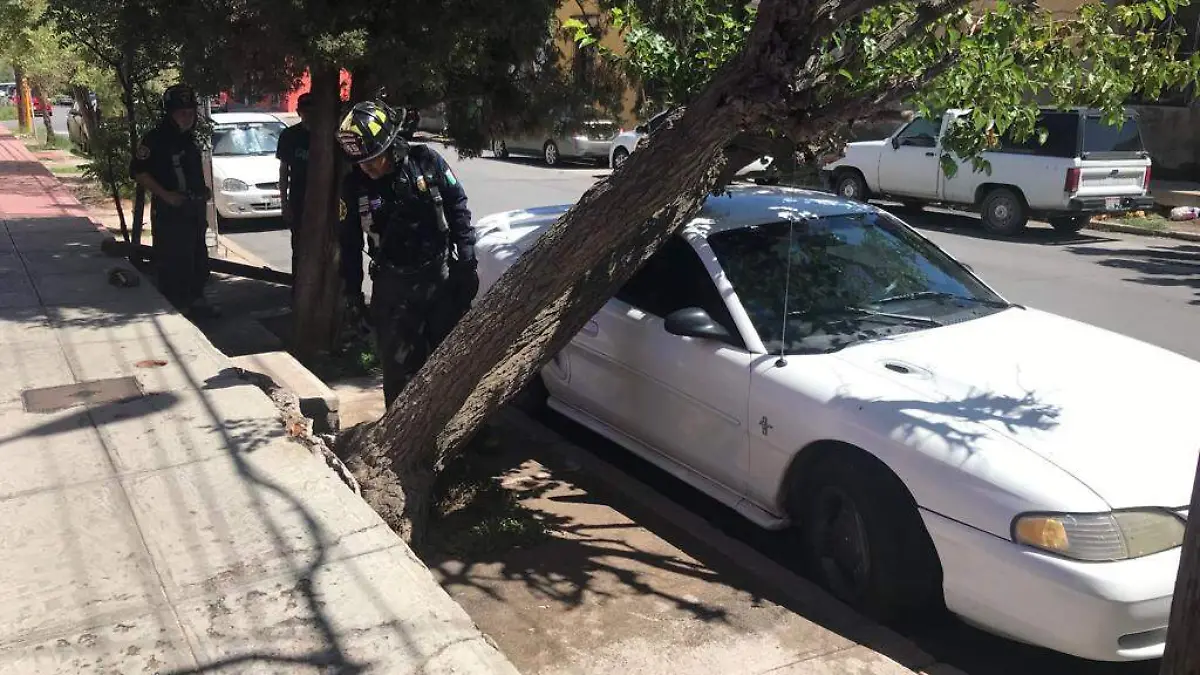 8d283dfc-b06c-48e4-b08f-2a9f43a001c5