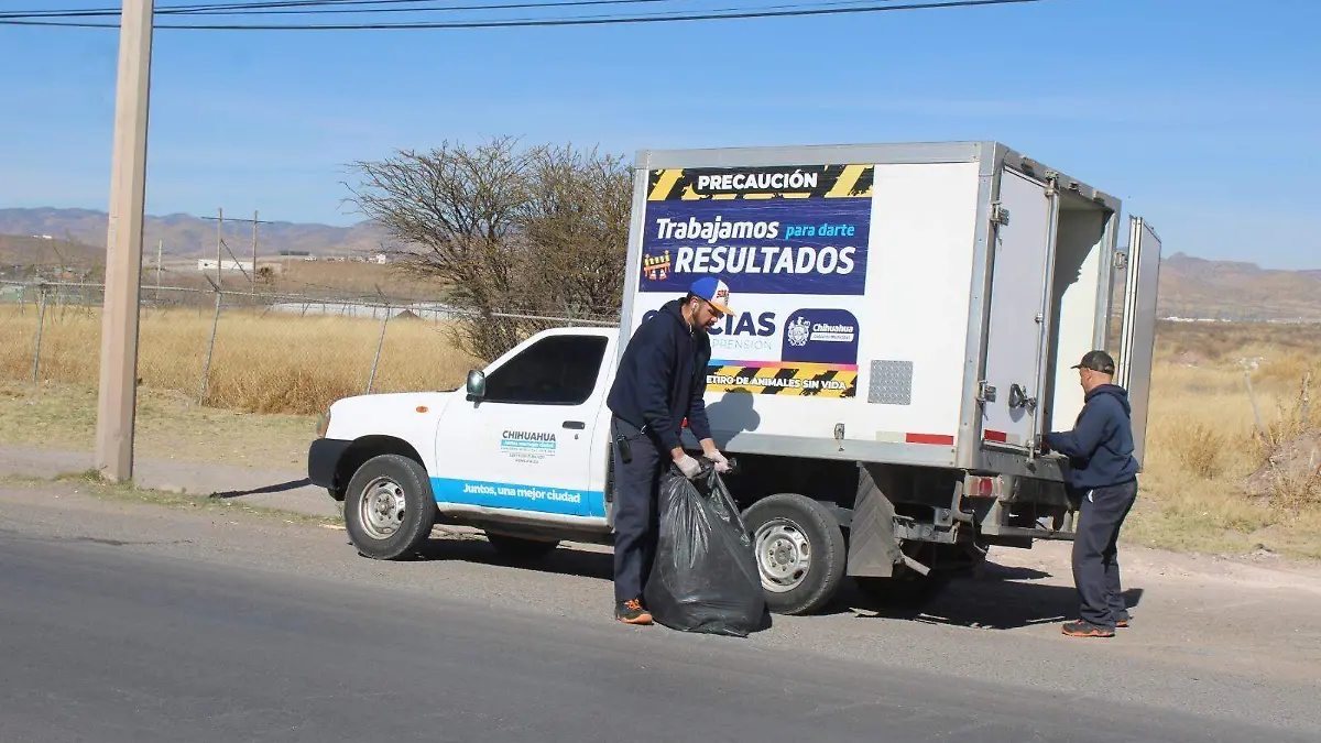 Imagen de WhatsApp 2023-03-09 a las 12.37.06