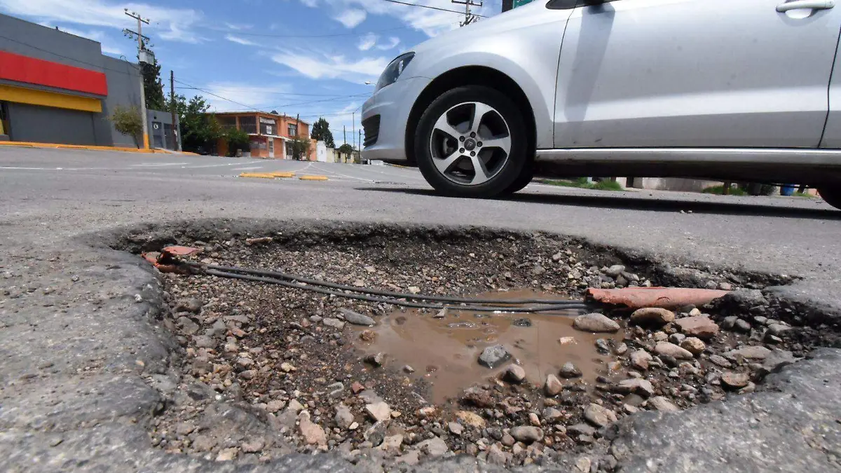 Bache 1