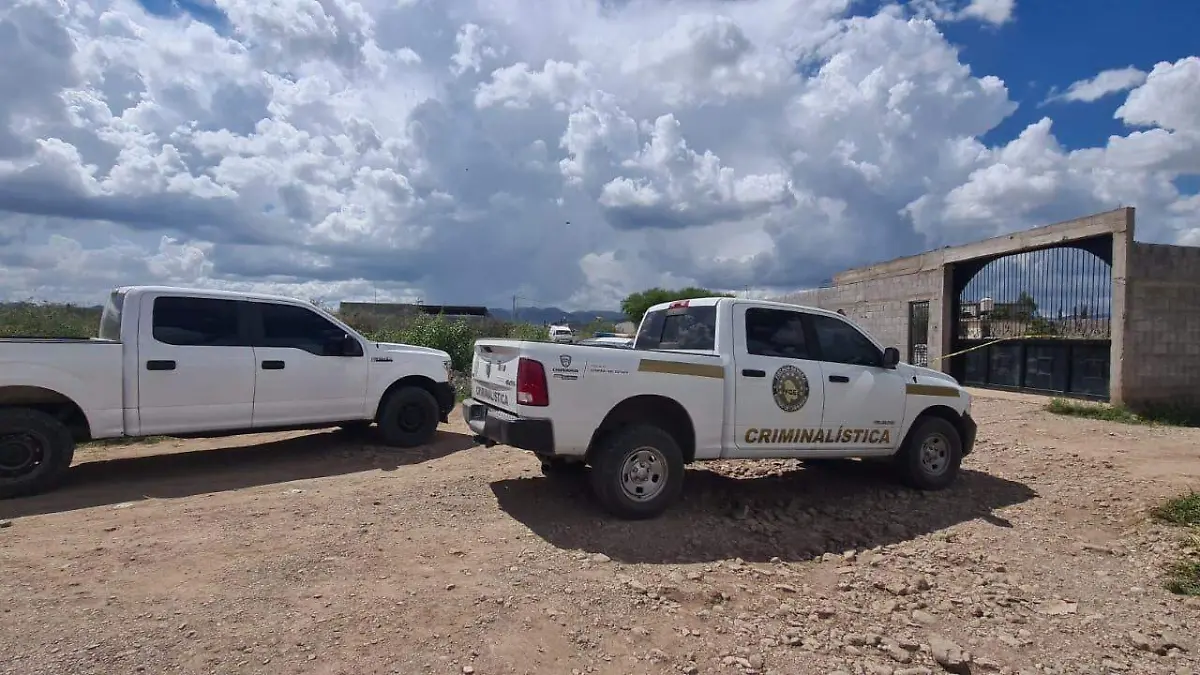 WhatsApp Image 2022-09-19 at 15.00.53