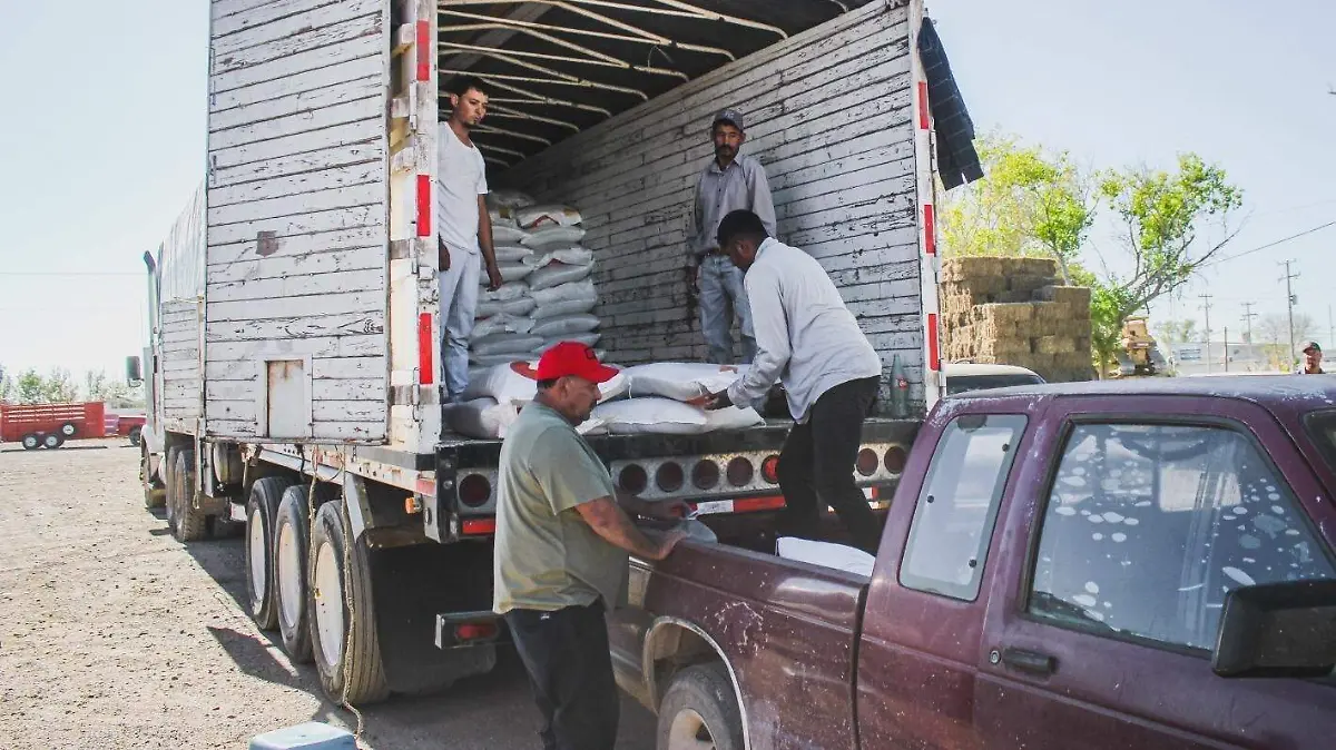 WhatsApp Image 2023-05-22 at 16.14.49