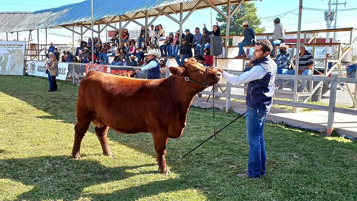 WhatsApp Image 2021-10-29 at 2.35.15 PM