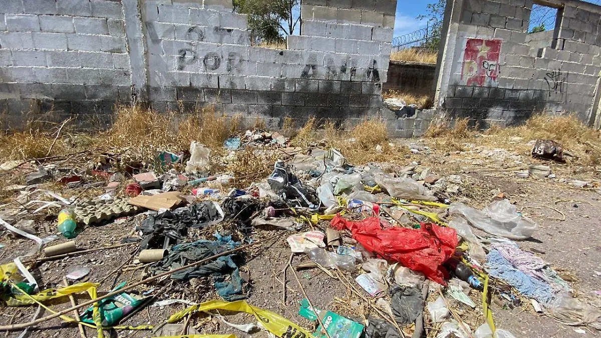 Image 2020-08-30 at 3.04.57 PM