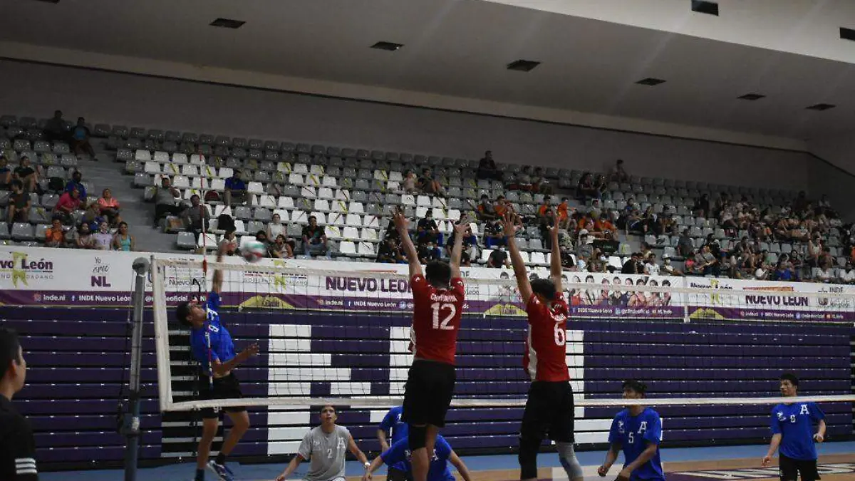boleibol