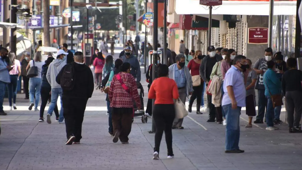 WhatsApp Image 2020-11-16 at 12.16.47 PM