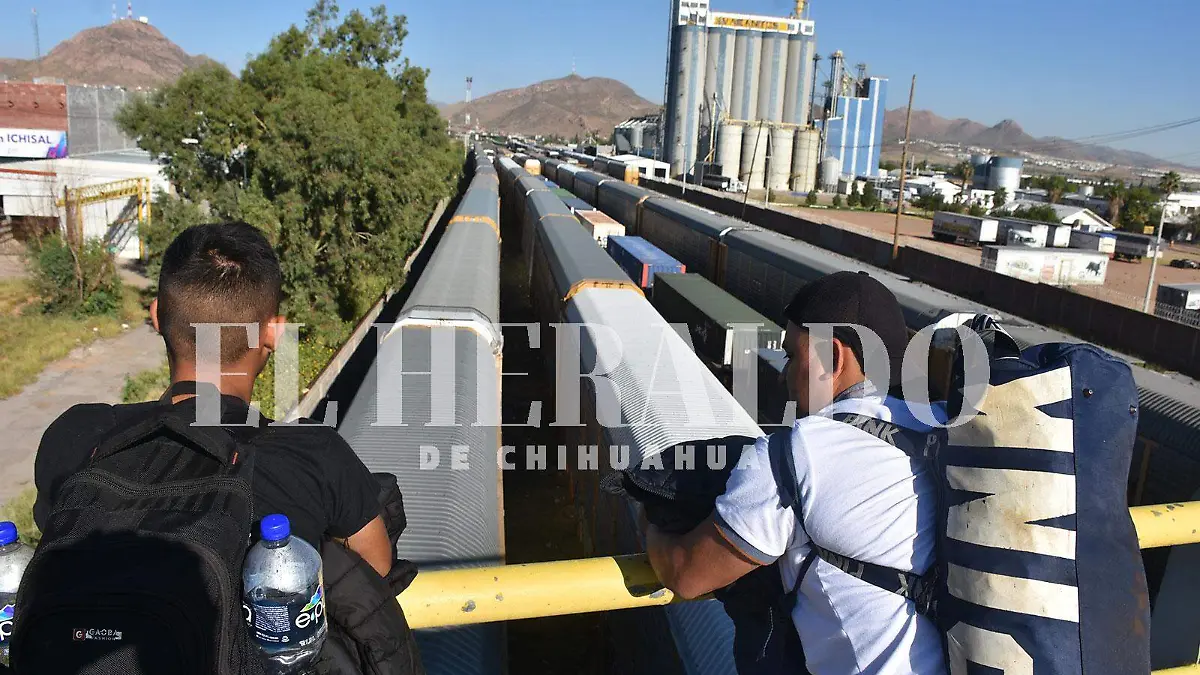 migrantes