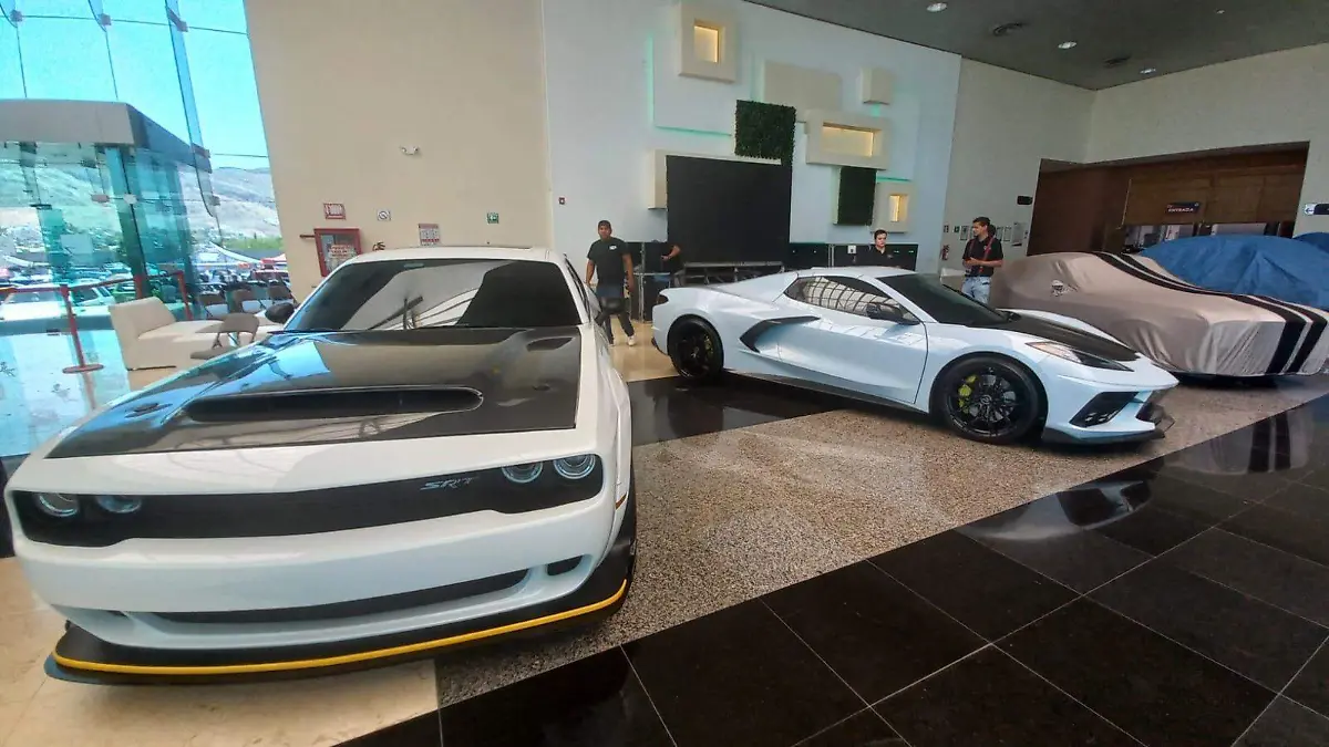 WhatsApp Image 2022-05-15 at 2.19.19 PM