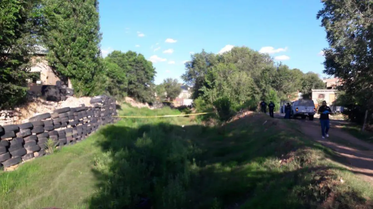 Image 2019-07-12 at 9.24.31 PM