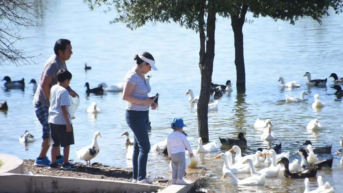 presa El Rejón