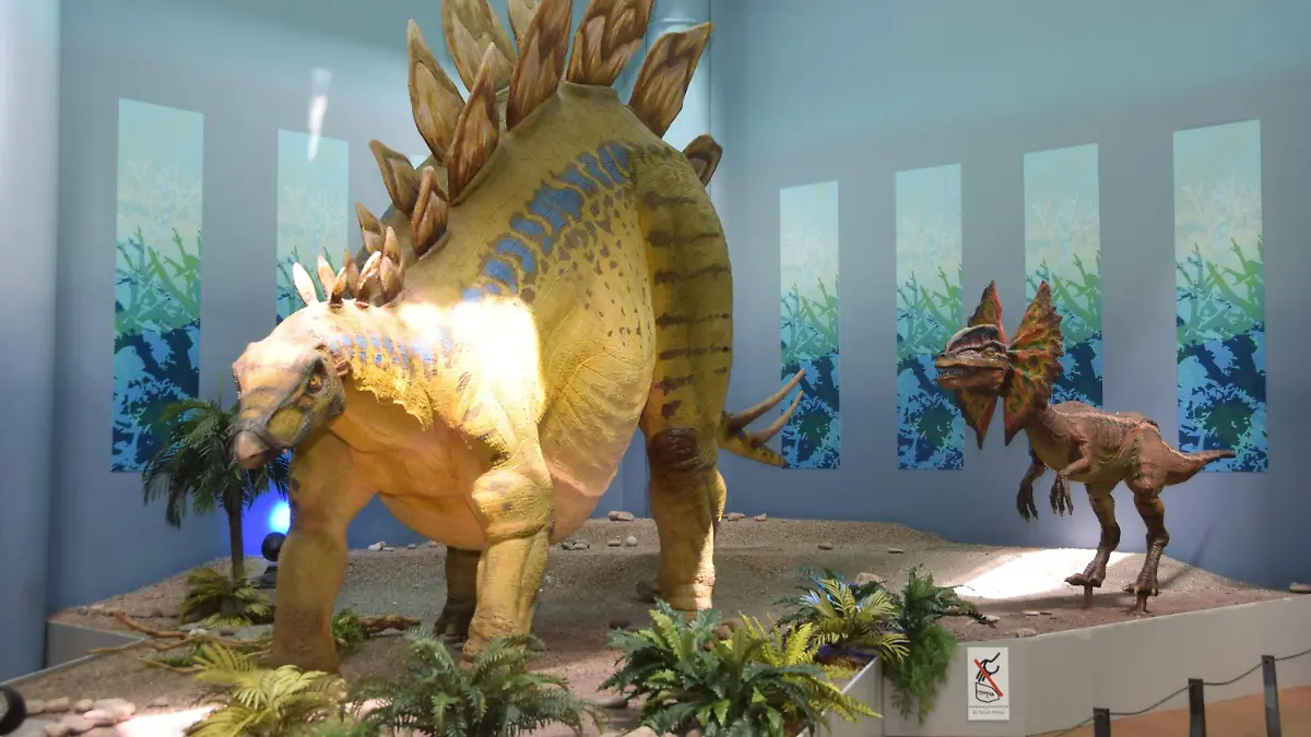 Museo del desierto en delicias (10)